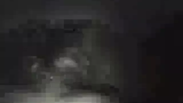 Tom Byron et la jolie salope femme enceinte et porno